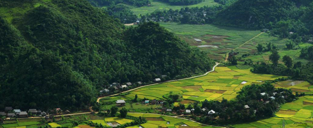 mai-chau-green-view